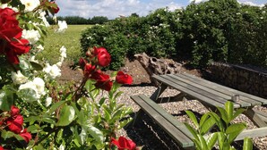 Un jardin avec des bancs et un mur en pierre.