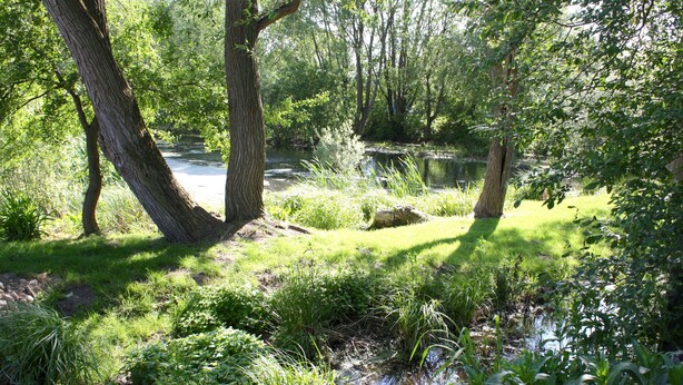 Un paysage naturel avec un étang bordé d’arbres et d’herbe.