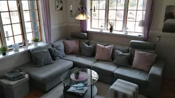 Flat-screen TV, fireplace, DVD player, books