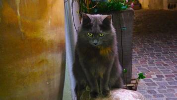 Enceinte de lâhĂ©bergement