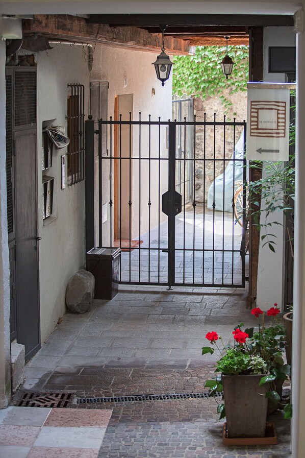 A gated entrance with a metal gate, a stone pathway, and a potted plant with red flowers.