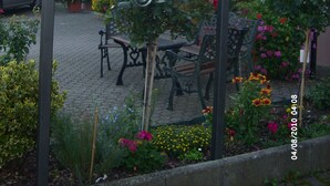 A sign for a Weing- und Gastehaus named Clüserath-Schü, indicating it is a wine and guesthouse with furnished apartments and a guest room. - Holiday Apartment "Pharmacy" with Weinbergblick (Trittenheim)