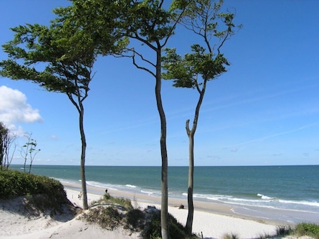 Playa. Apartment on the Baltic Sea - secluded location on the edge of the forest