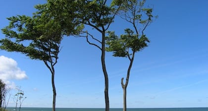 Apartamento en el mar Báltico - ubicación aislada en el borde del bosque