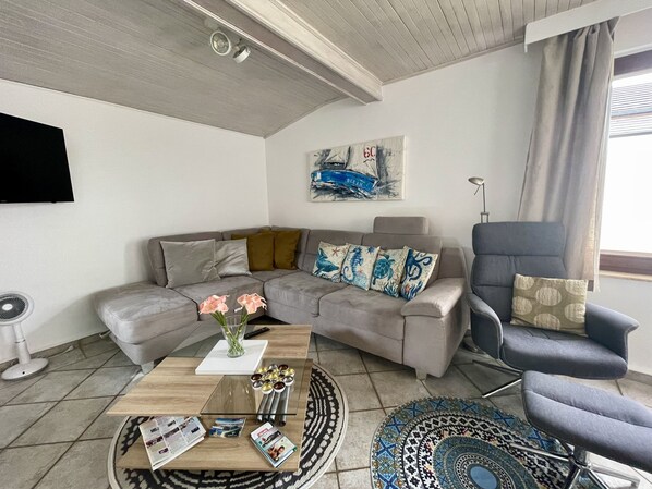 Téléviseur, foyer, lecteur de DVD, livres