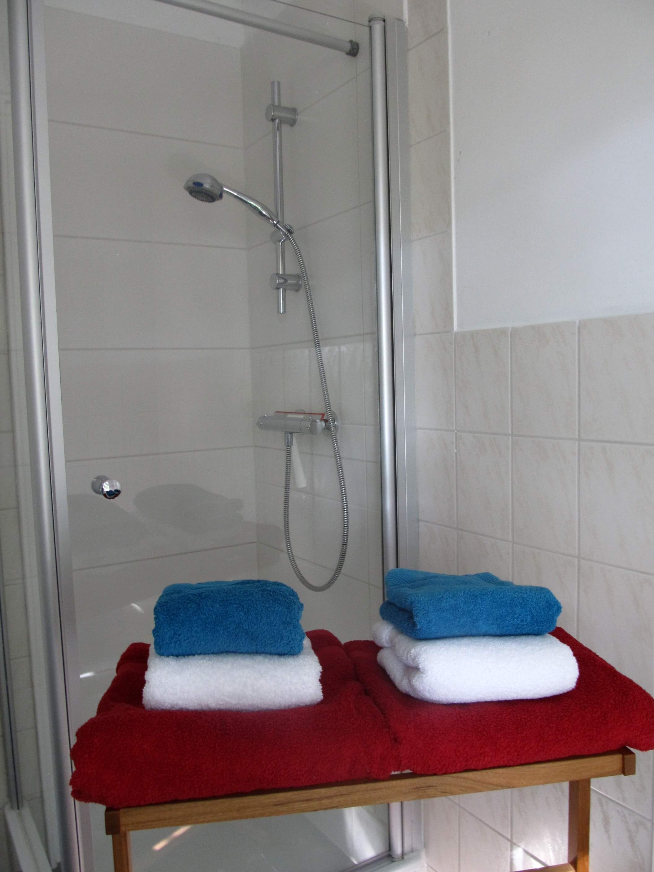 A glass-enclosed shower area with a handheld showerhead and a handheld faucet. There is a small wooden table with two towels, one red and one white, and a blue towel on top.