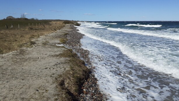 A beach with a sandy path and a rocky shoreline. - Spacious apartment for two (Stoltebuell)