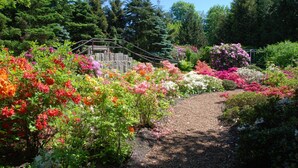Un sentier de jardin bordé de fleurs colorées et un escalier en pierre menant à une terrasse en bois.
