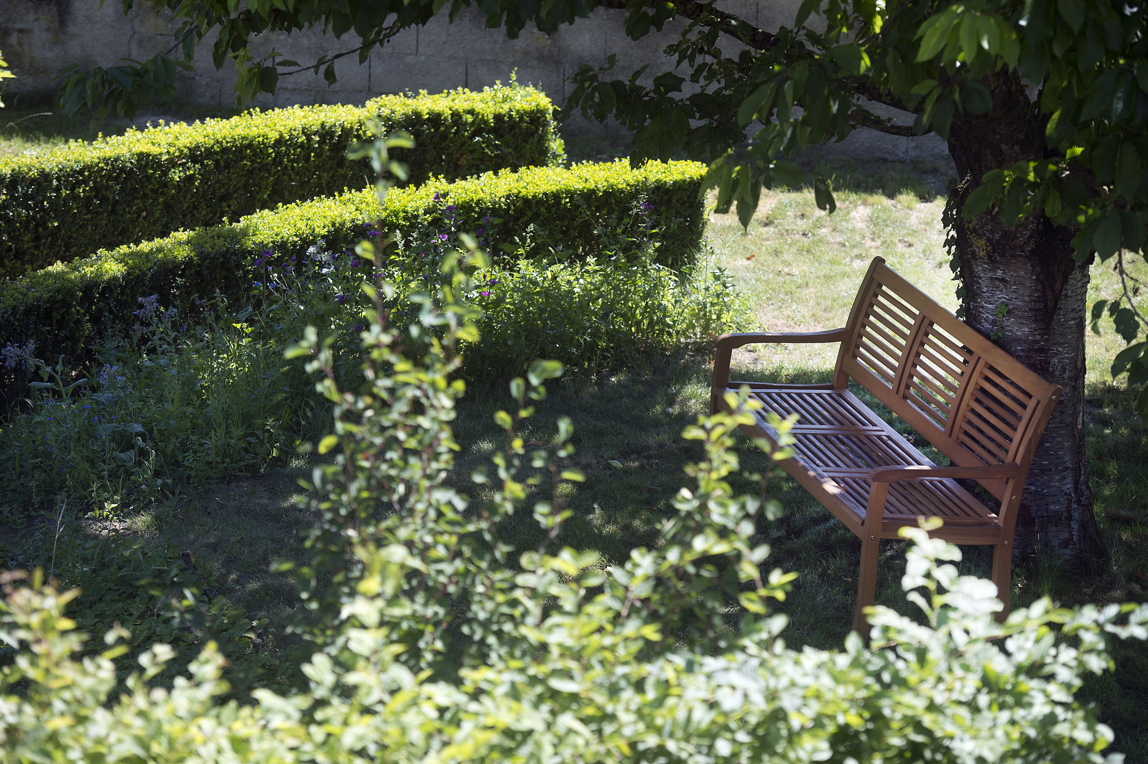 A bench in a garden with neatly trimmed hedges and a tree.