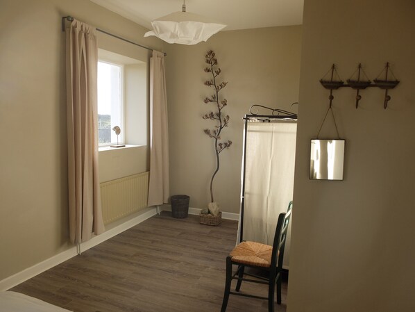 A room with a window, a chair, a radiator, a hanging plant, and a mirror on the wall.
