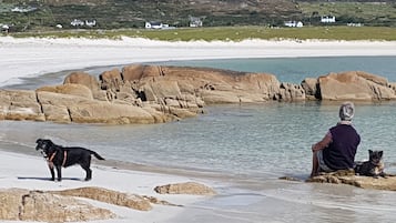 在海灘附近、躺椅、沙灘巾