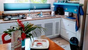 Een kleine keuken met een spoelbak, fornuis en aanrechtapparatuur.