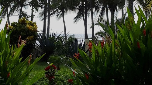 BOOK - MOVE IN - FEEL GOOD! Your Studio right on the Beach. Pets welcome!