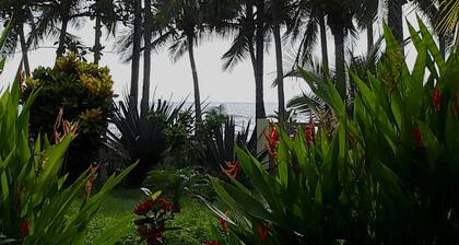 BOOK - MOVE IN - FEEL GOOD! Your Studio right on the Beach. Pets welcome!