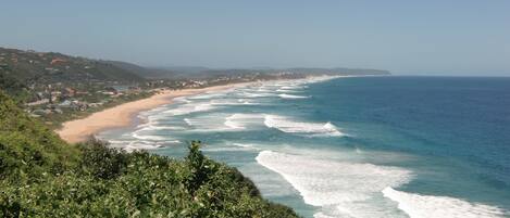 Chaises longues, serviettes de plage