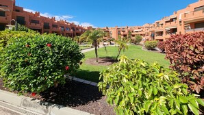 A courtyard with a well-maintained lawn, various shrubs, and a palm tree. - Casa Soleada close to sea + beach, 2 pools, terrace, sea views,TV, Wifi (Granadilla)