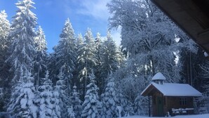 A cabin surrounded by snow-covered trees.