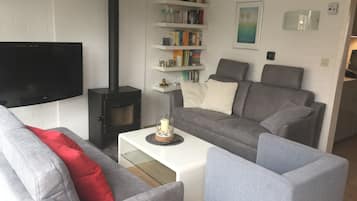 Télévision, cheminée, lecteur de DVD, table de tennis de table