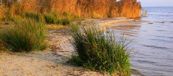 Beautifully furnished 4 **** star FH with private terrace 