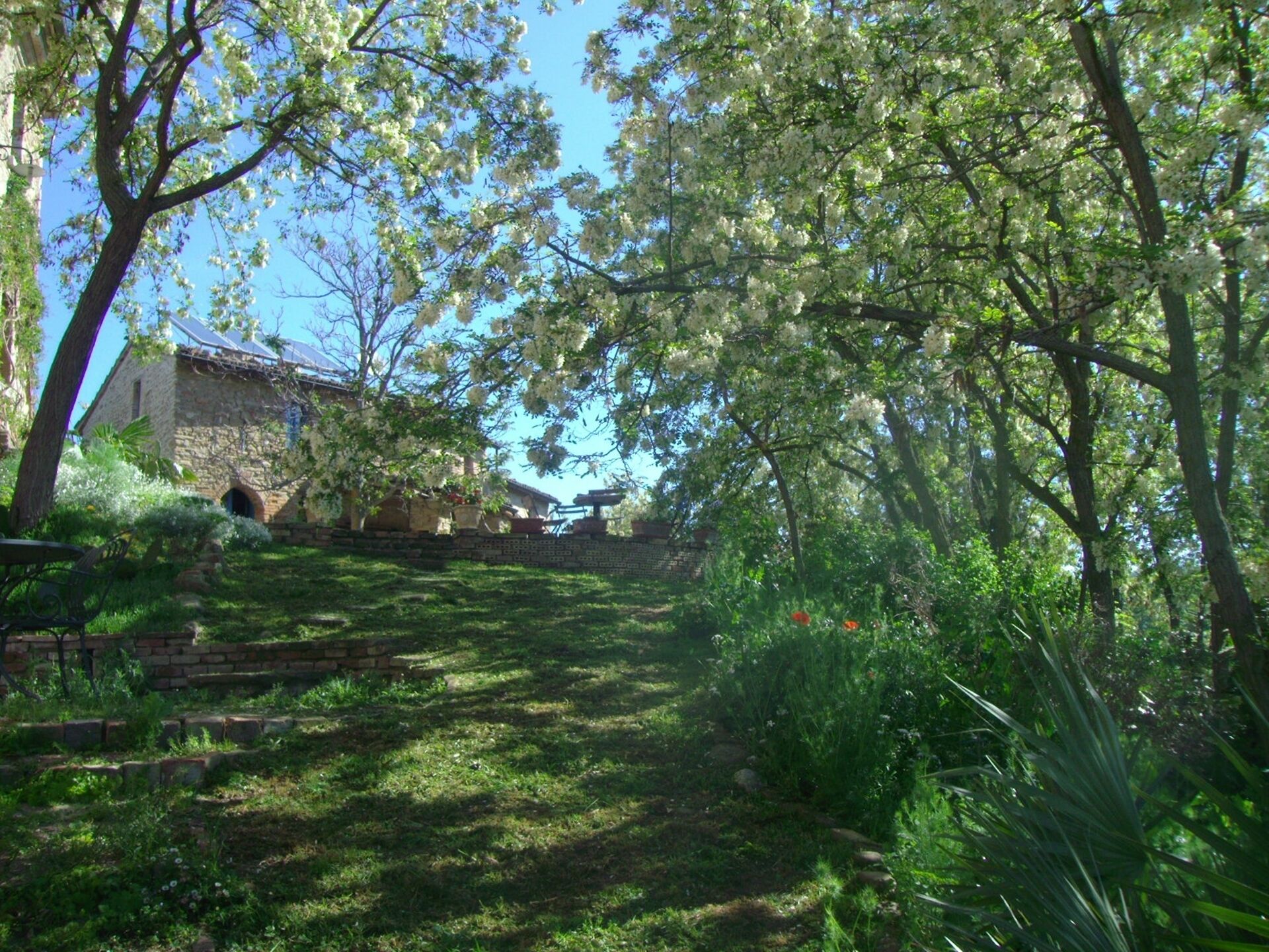 Parco della struttura