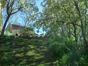 Property grounds - Stone house with pool in a unique location.  (Piandimeleto)