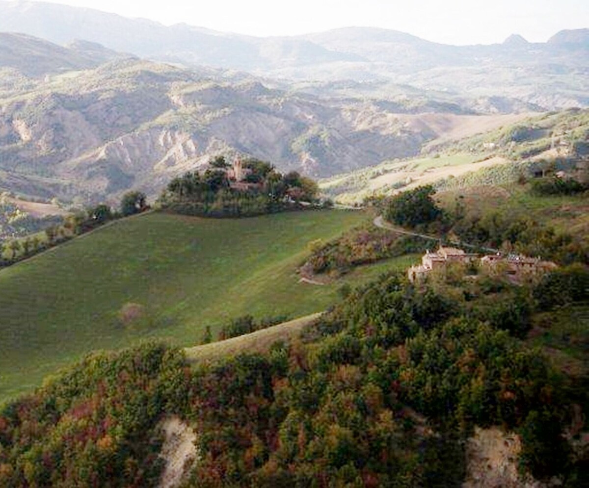 オーナーのプロフィール画像