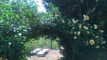 A garden with a pergola covered in white flowers, a stone pathway, and a table with chairs.