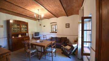 Télévision, cheminée, chaßne hi-fi