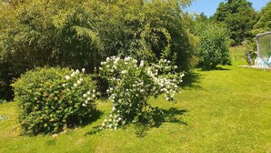 Un jardin bien entretenu, agrémenté de divers arbustes et arbres, un ciel dégagé et un vélo garé près d’une construction.