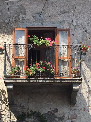 A balcony with a wooden railing, potted plants, and a window with curtains.