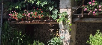 Casa Enrica type E2, up to 4 people, 200m to the lake, quiet and very romantic location