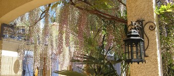 Maison à l'abri du Mistral (4) Mediterranean atmosphere for a relaxing holiday