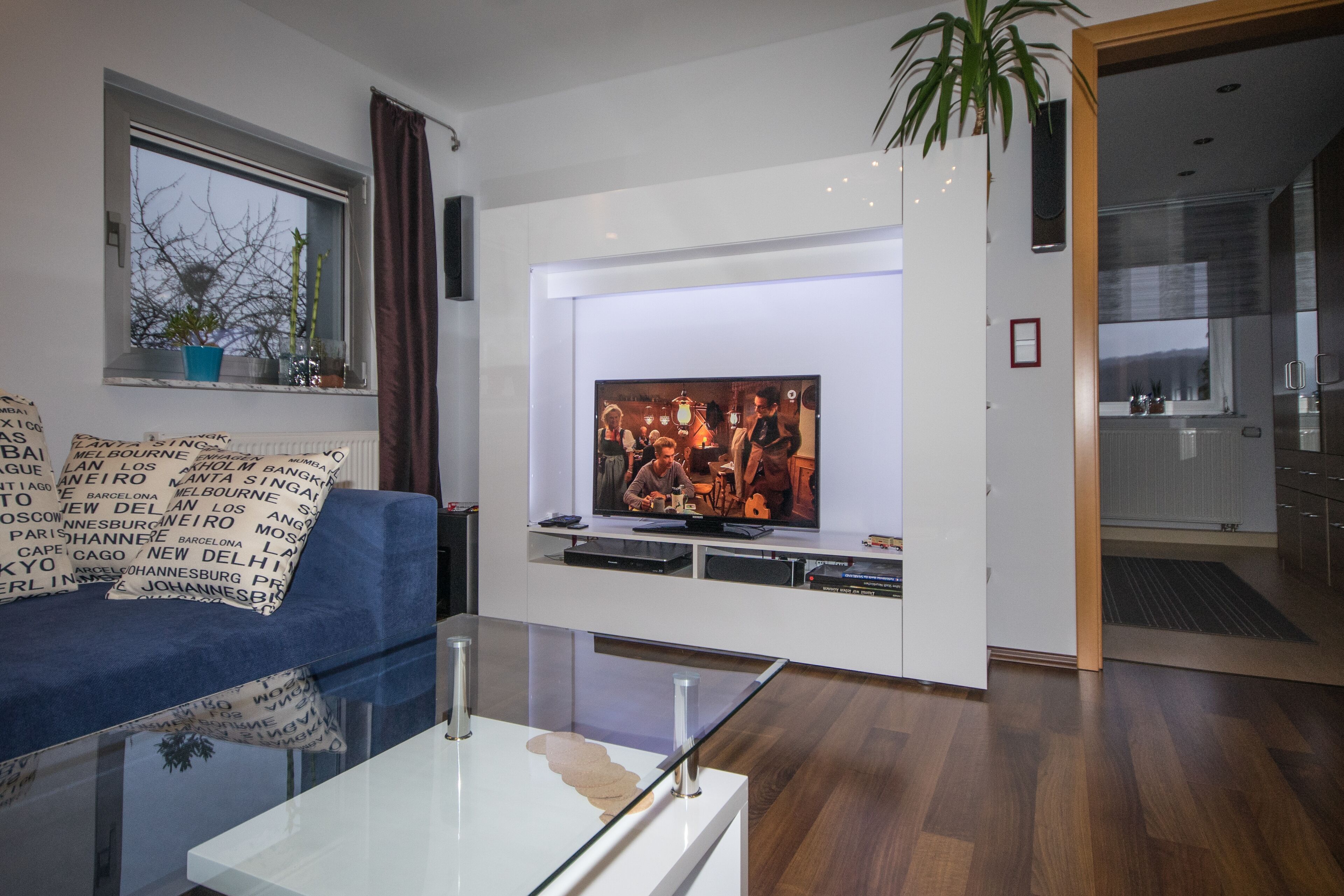 Flat-screen TV, DVD player, books, stereo