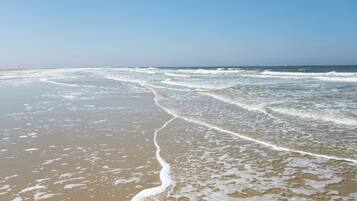 Playa en los alrededores