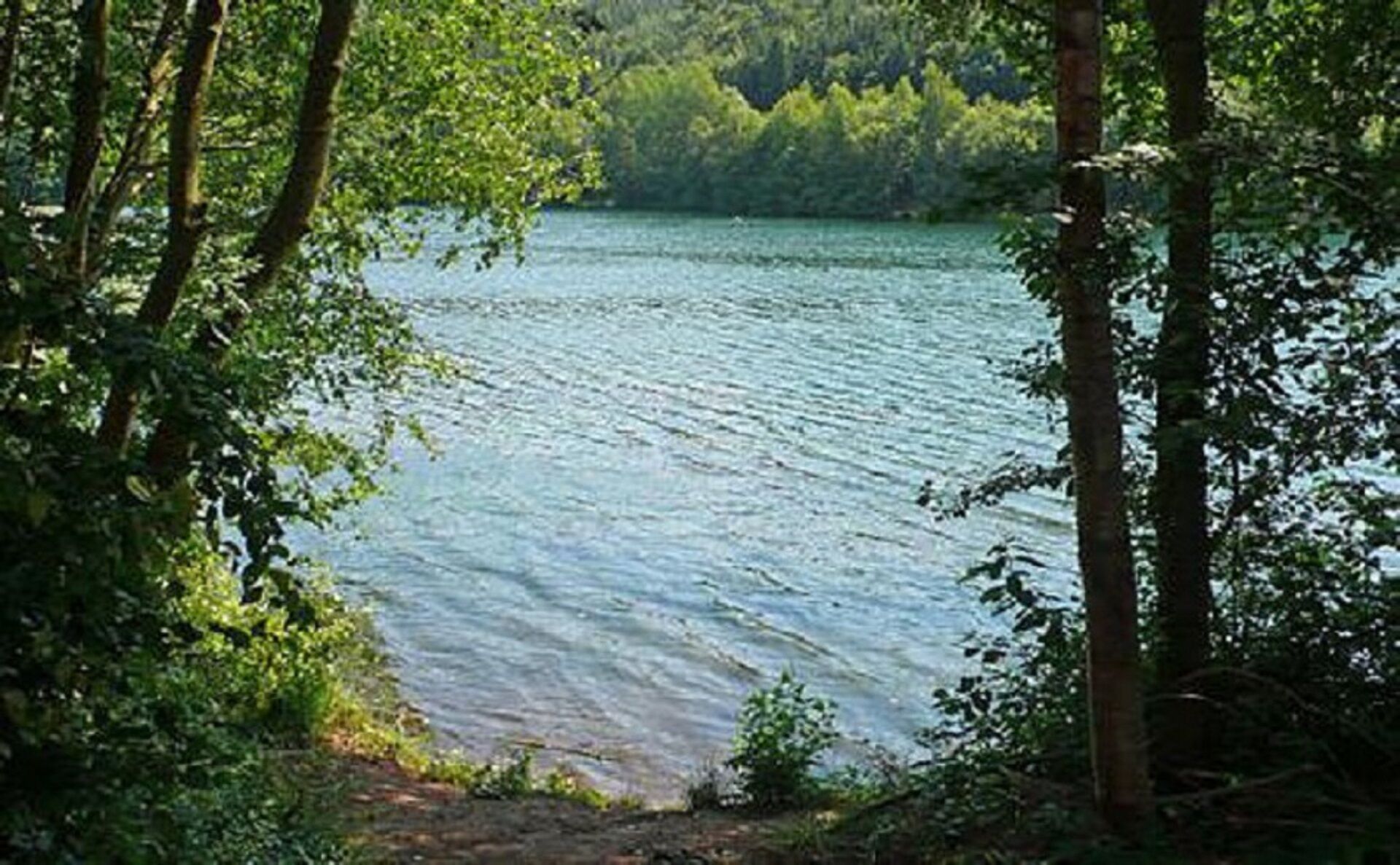 Un lago tranquillo circondato da una fitta foresta.