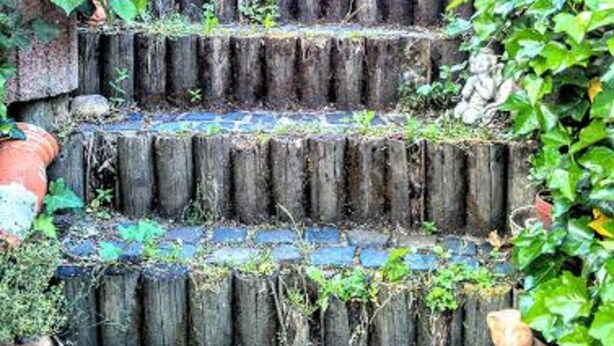 A set of wooden steps with potted plants on the sides, leading up to a higher level. - Curr. M.Flair, quiet location, grGarten directly to Forest / Grassland, gr. Lake at 2km, (Blankenheim-Reetz)