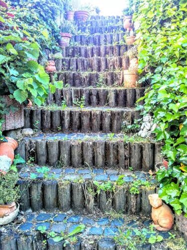 Curr. M.Flair, quiet location, grGarten directly to Forest / Grassland, gr. Lake at 2km,