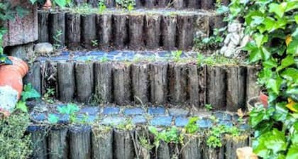 Curr. M.Flair, quiet location, grGarten directly to Forest / Grassland, gr. Lake at 2km,