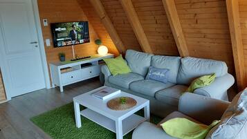 智能電視、DVD 播放機、書籍、影像庫