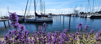 Holiday house with modern and new equipment, for families, near the beach, WiFi