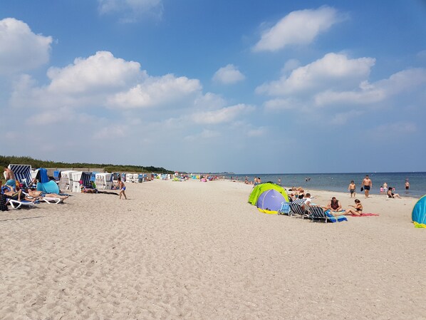 A beach with rows of beach chairs and umbrellas, a tent, and people relaxing. - Holiday house with modern and new equipment, for families, near the beach, WiFi (Damp)