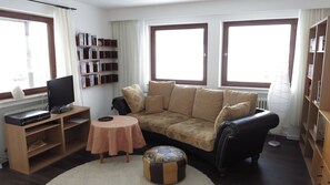 LED-televisio, DVD-soitin, kirjoja, videokirjasto