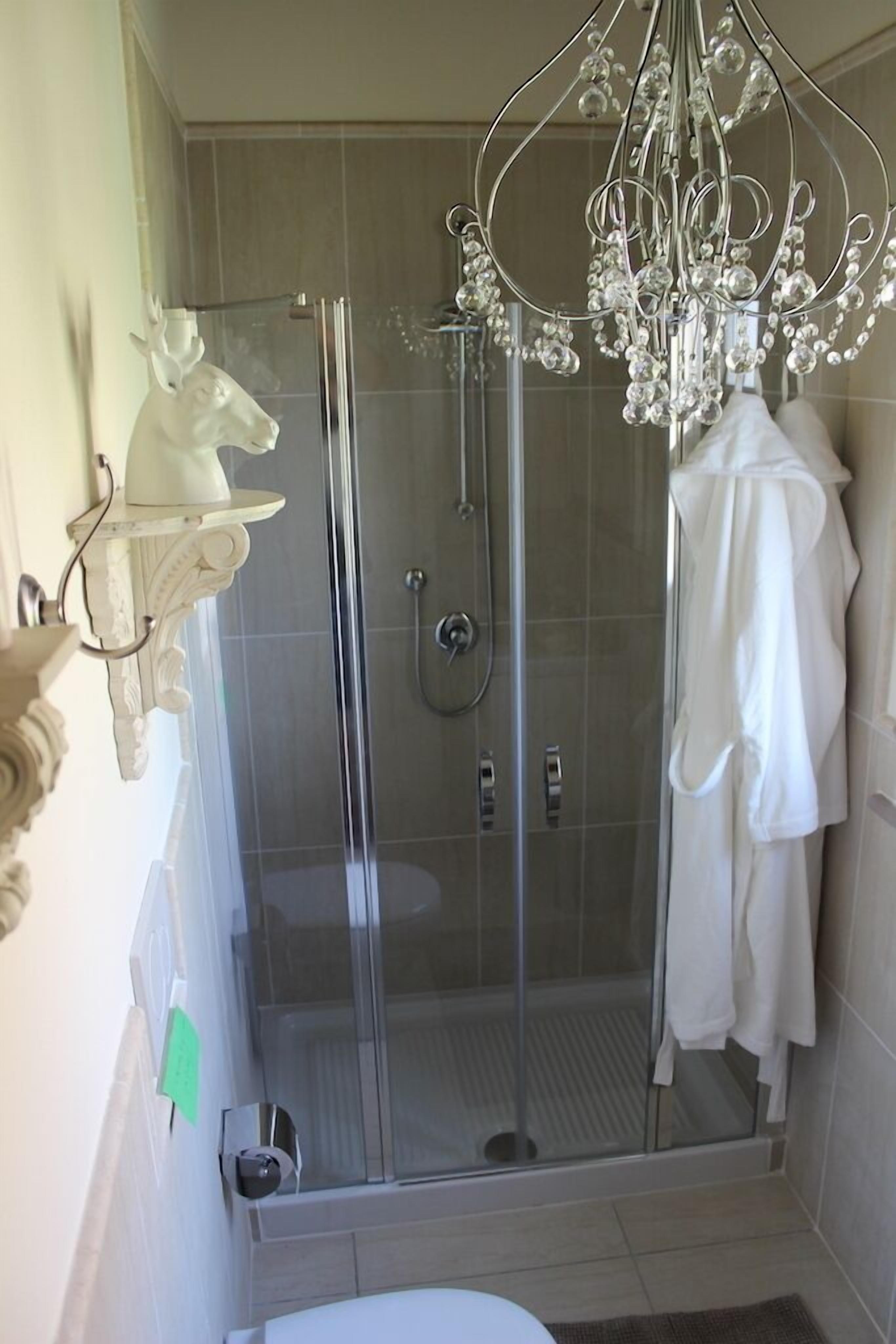 Shower, hair dryer, towels, toilet paper