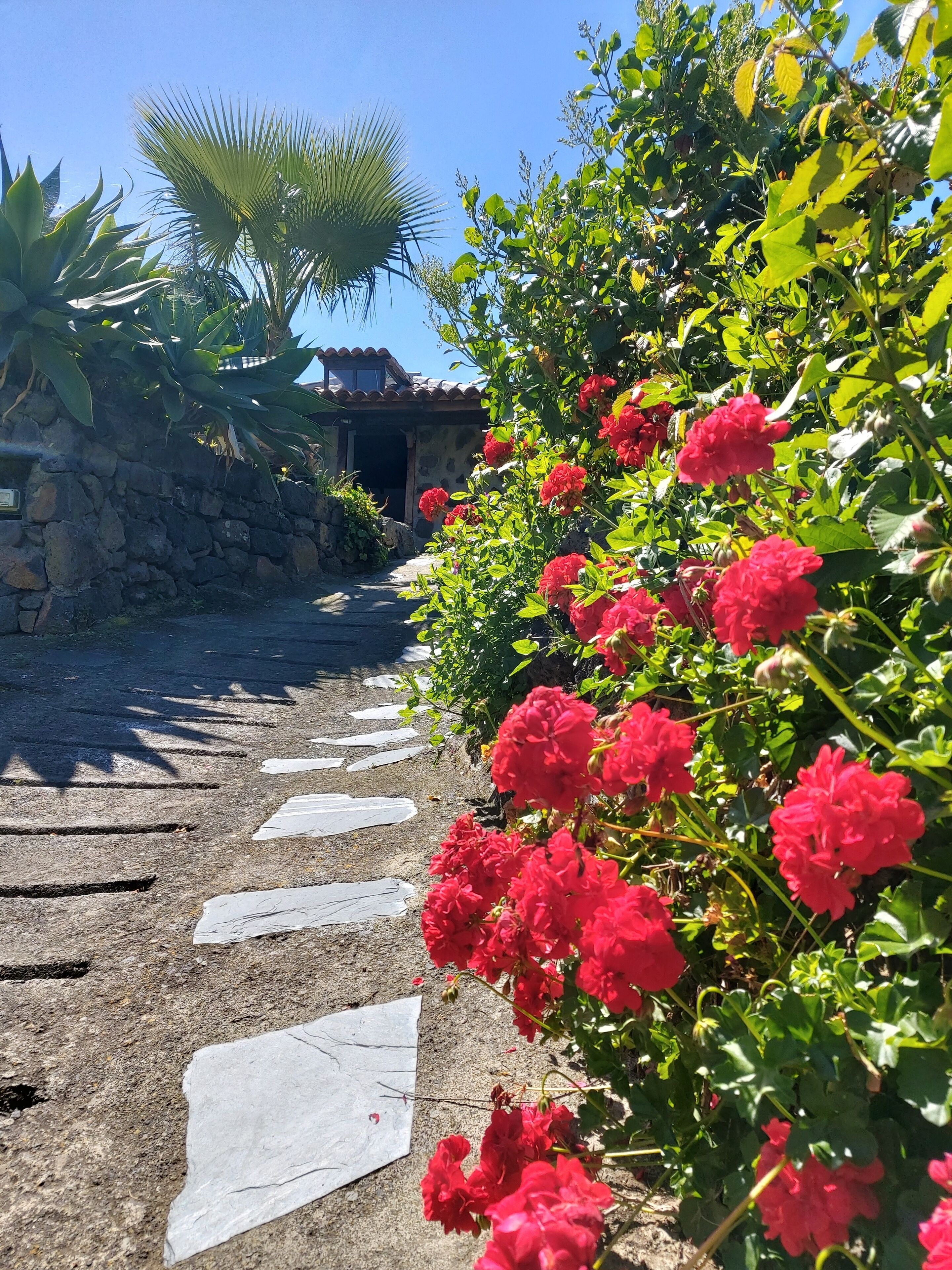 Ein Weg, gesäumt von roten Blüten und grünem Blattwerk, der zu einer Steinmauer und einem Gebäude mit einem Ziegeldach führt.