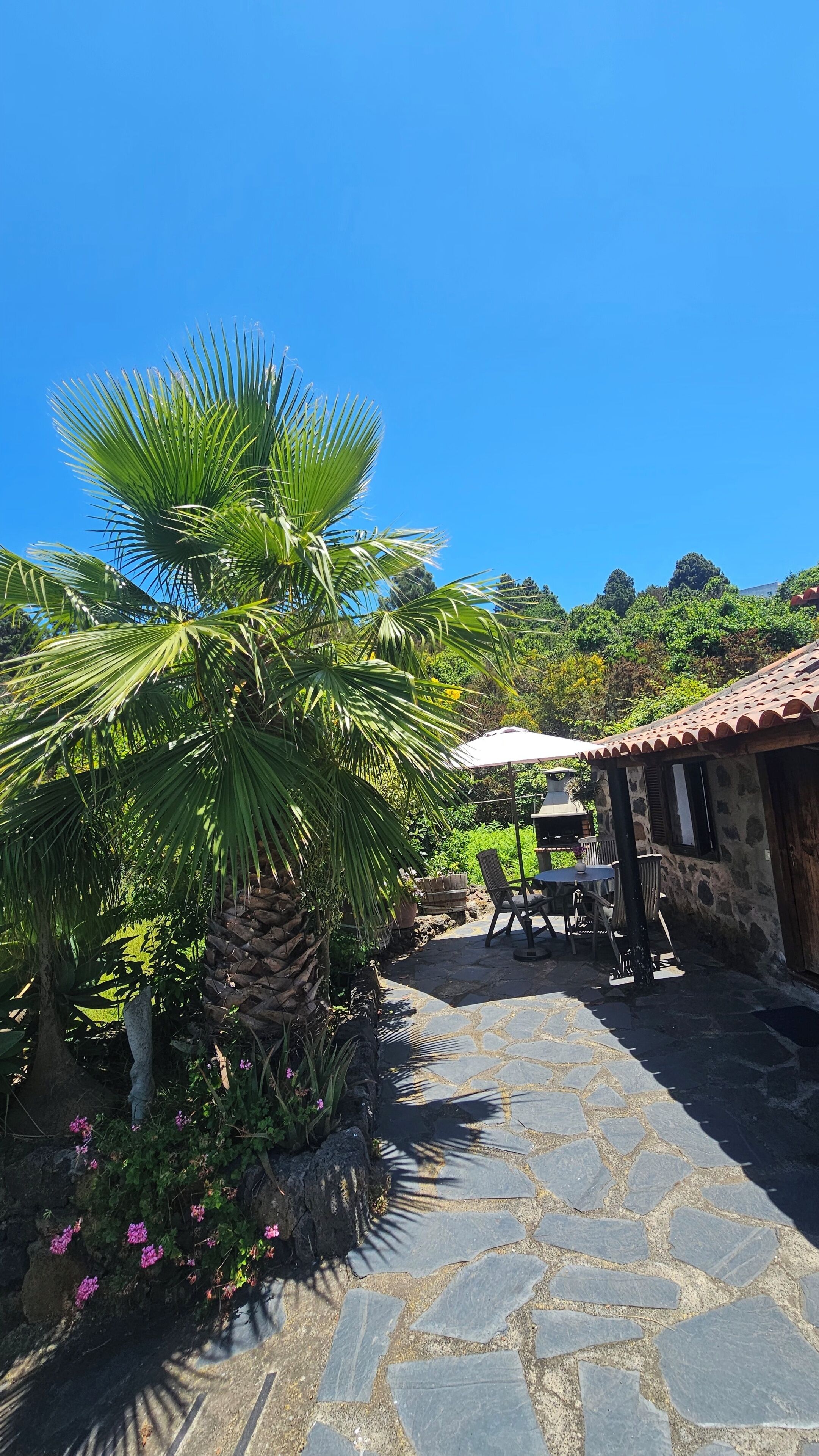 A stone pathway leading to a rustic outdoor seating area with a table and chairs, surrounded by lush greenery and a palm tree.