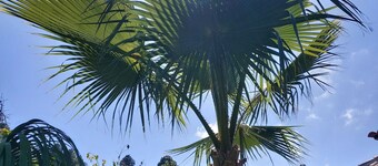 Finca Cueva del Viento, rural lodging surrounded by nature and peace.