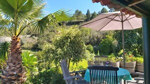 Ein Terrassenbereich im Freien mit Tisch und Stühlen, umgeben von üppiger Bepflanzung und einer Palme.