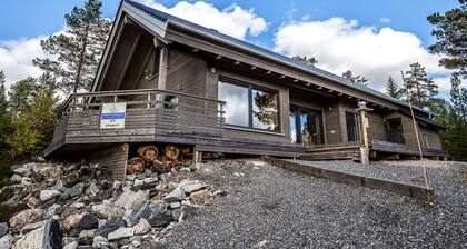 Modern holiday chalet in the Nissedal am Havrefjell, WLAN, canoe, sauna, barbecue, bathing lake