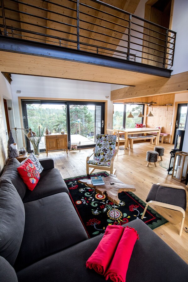 Smart TV, fireplace, DVD player, books