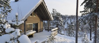 Modern holiday chalet in the Nissedal am Havrefjell, WLAN, canoe, sauna, barbecue, bathing lake
